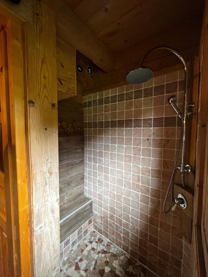 Chalet Le Pre De La Dame Epagny Metz-Tessy Exterior photo